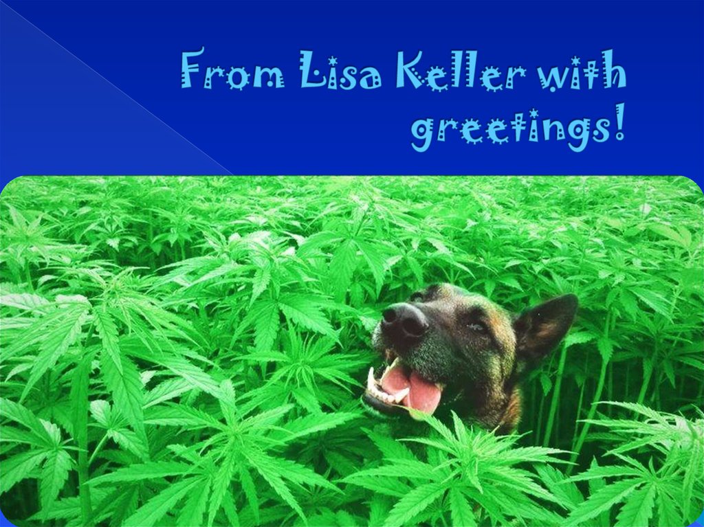 From Lisa Keller with greetings!