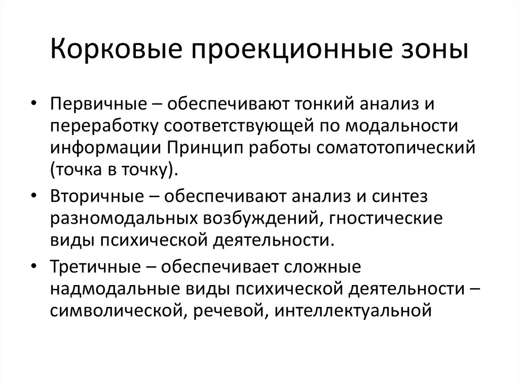 Выполните первичное. Первичная проекционная зона. Первичные и вторичные проекционные зоны. Корковые проекционные зоны. Первичные проекционные зоны обеспечивают.