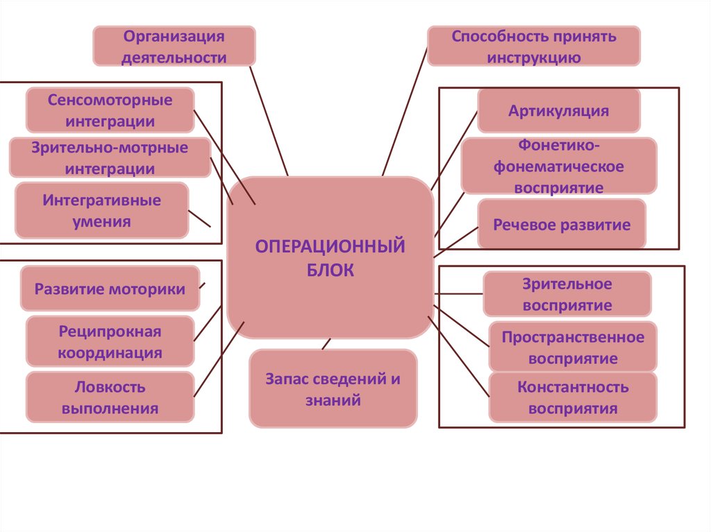 Блок организации. Схема организации сенсомоторных процессов. Понимание функция координации и интеграции. Сенсомоторная интеграция мозг. Операциональная координация.