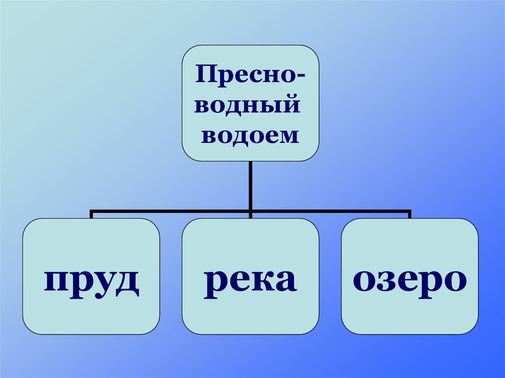 Пресные и соленые водоемы презентация