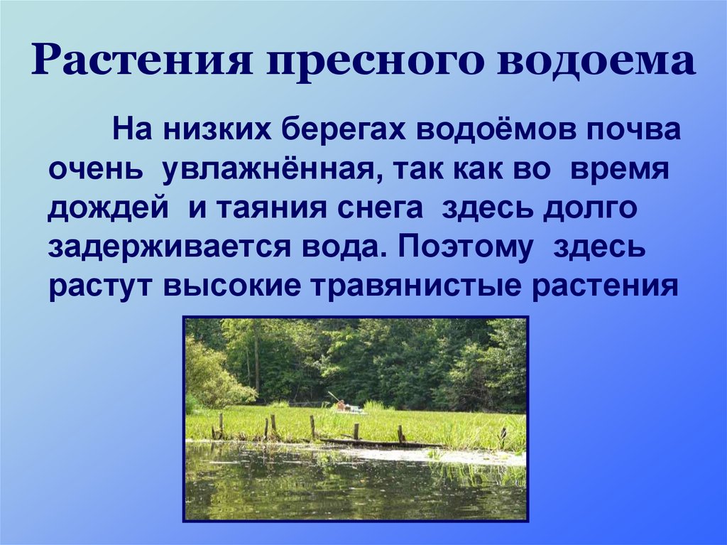 Пресные и соленые водоемы презентация