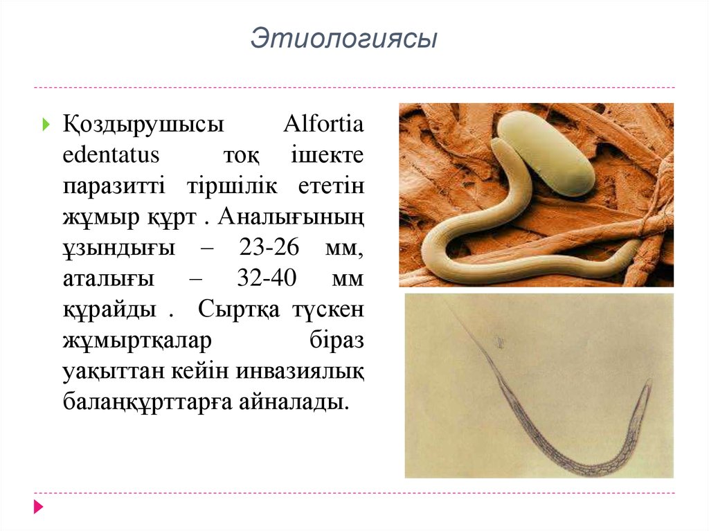 Этиологиясы