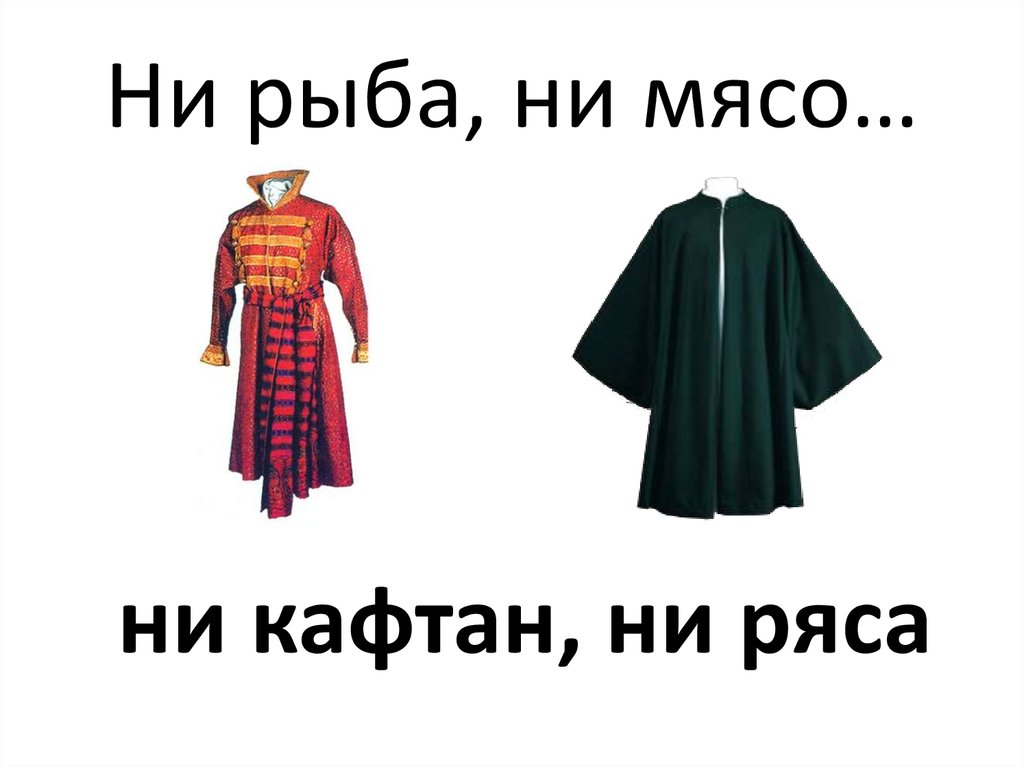 Фразеологизмы ни рыба. Ни рыба ни мясо ни кафтан ни ряса. Ни кафтан ни ряса. Не рыба не мясо не кафтан не ряса. Ни рыба ни мясо.