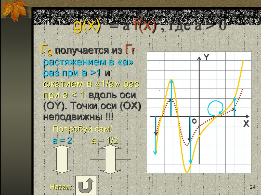 g(x) = a f(x) , где a > 0