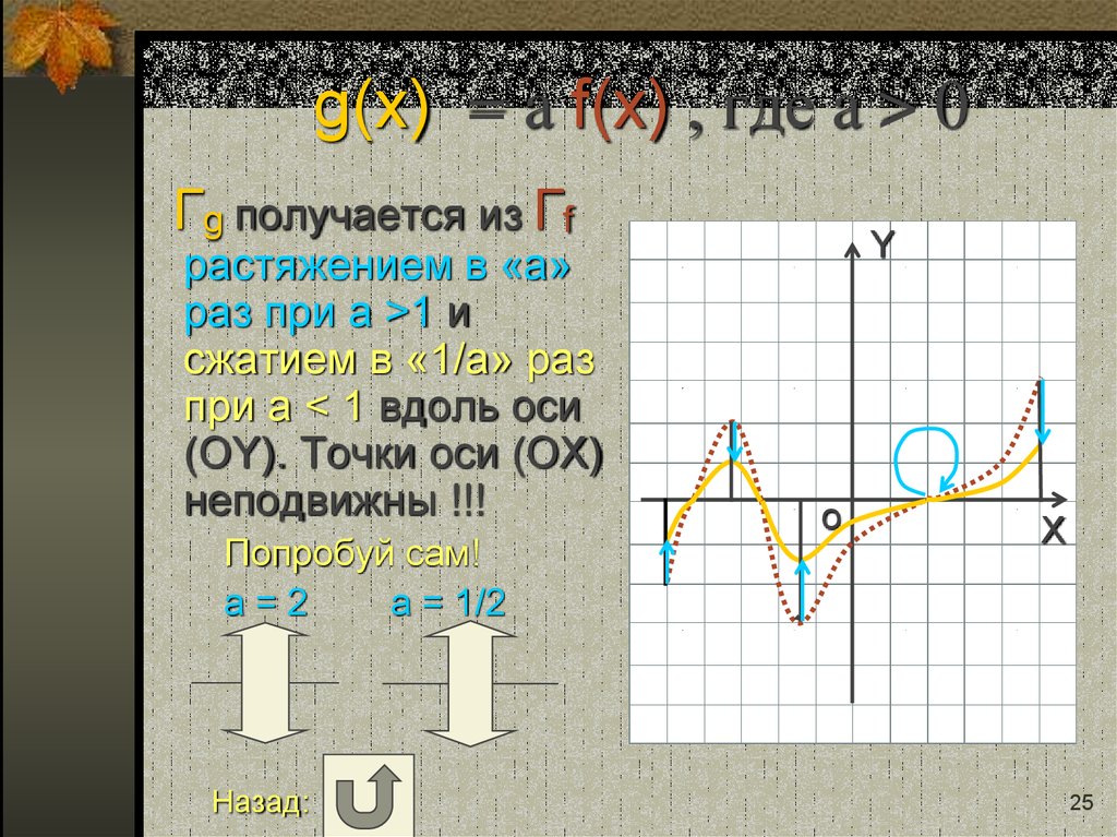 g(x) = a f(x) , где a > 0