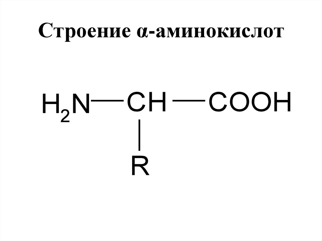Строение α-аминокислот