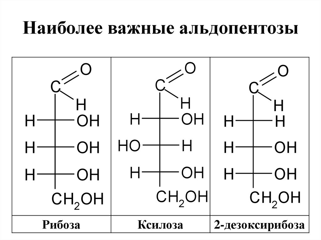 Рибоза 2 дезоксирибоза. Структурная формула альдопентозы. Альдопентоза формула структурная. Структурные формулы альдопентоз. Кетопентоза формула структурная.