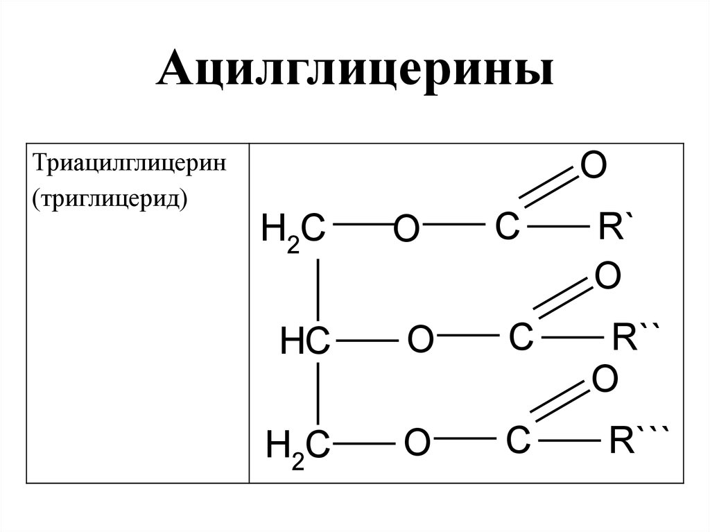 Схема образования триацилглицерина - 97 фото