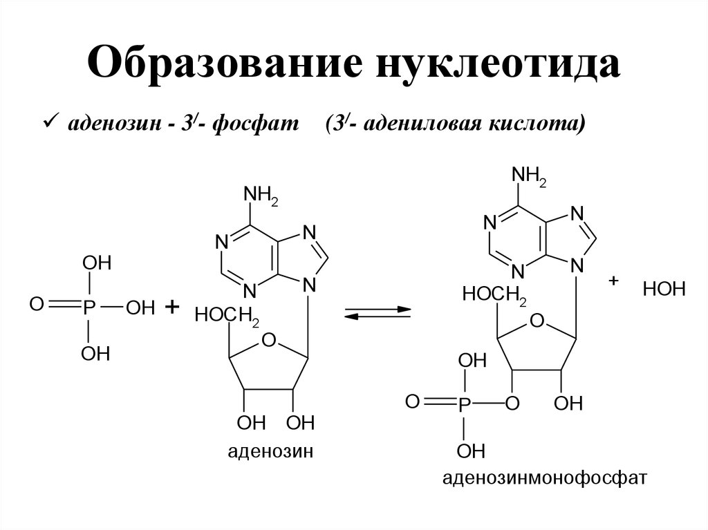 Нуклеотид содержащий гуанин