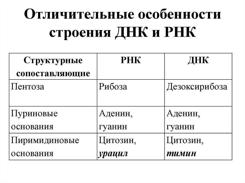 Днк сходства и различия. Особенности строения ДНК. Характерные особенности строения ДНК. Строение и функции ДНК И РНК таблица. Особенности структуры ДНК.