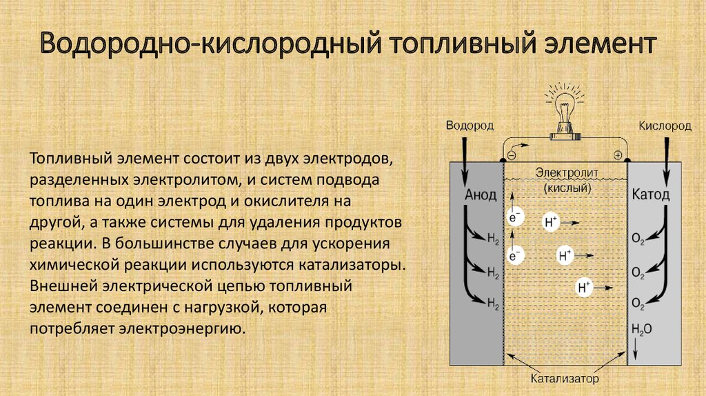 Вы точно человек?