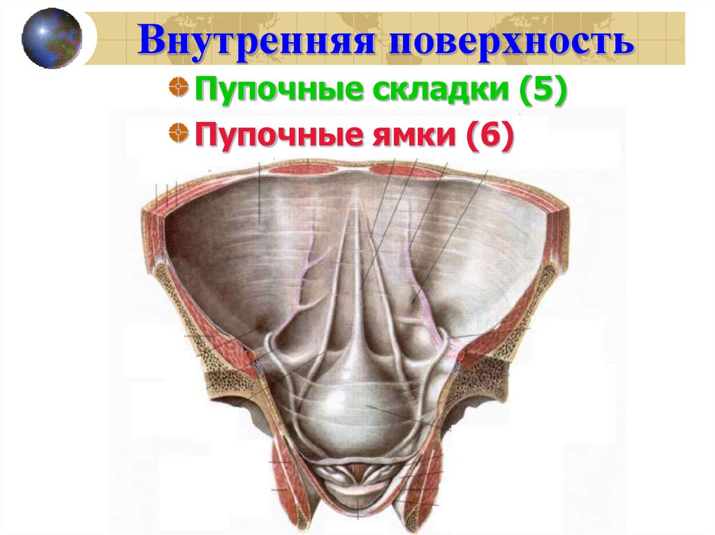 Стенки ямок