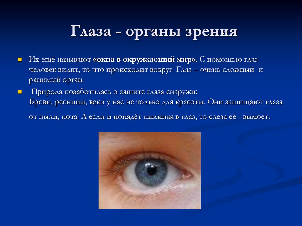 Зрение двумя глазами называют. Презентация на тему органы зрения. Орган зрения презентация. Презентация на тему глаза человека. Презентация на тему глаз и зрение.