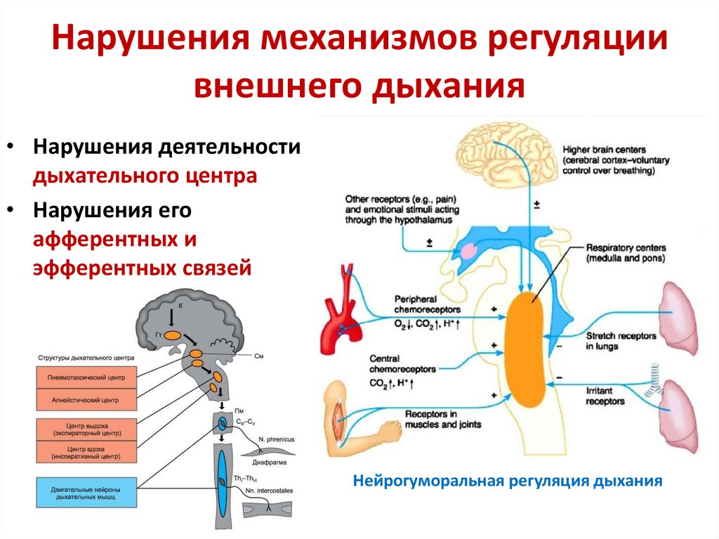 Внешние нарушения