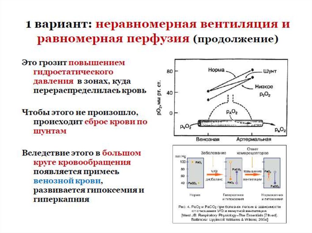 Одышка патофизиология. Вентиляционные формы дыхательной недостаточности патофизиология. Стенотическое дыхание патогенез. Стенотическое дыхание механизм. Стенотическое дыхание график.