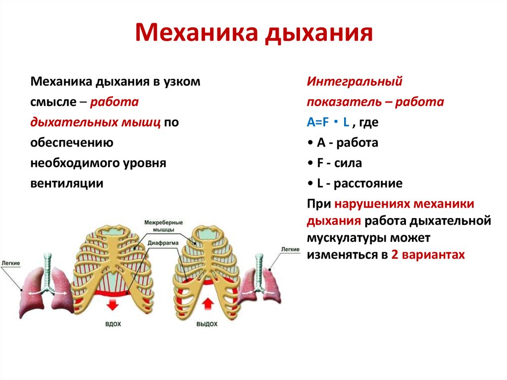 Вдох и выдох таблица