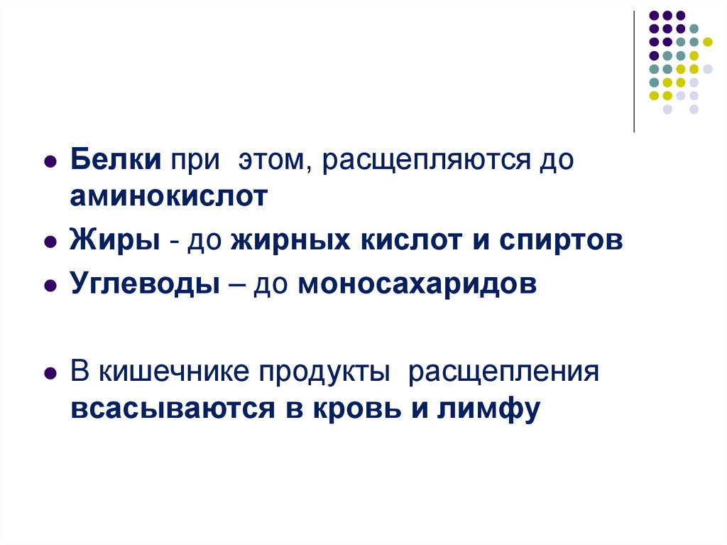 До каких веществ расщепляются углеводы. Белки жиры углеводы расщепляются до. Жиры расщепляются до углеводов. Что до чего расщепляется. На какие вещества расщепляются углеводы.