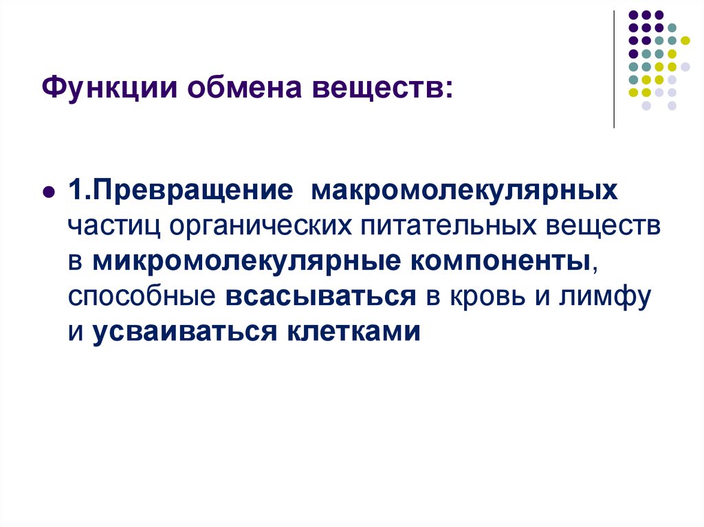 Основные функции обмена веществ