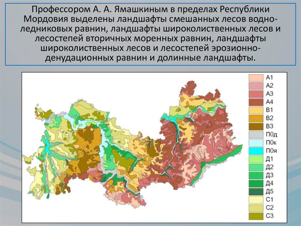 Карта лесов мордовии