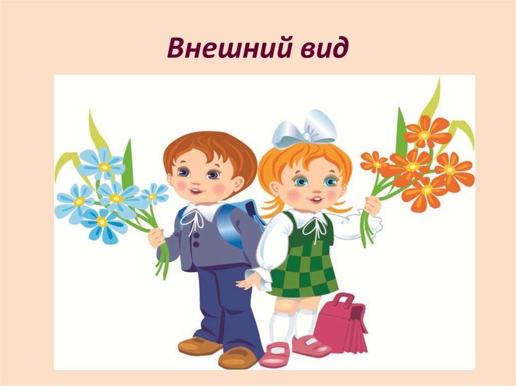 Внешний вид