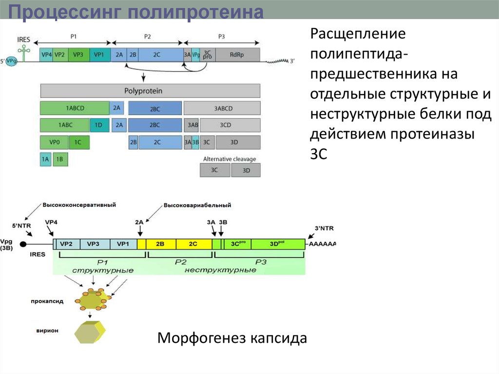 Процессинг осуществляется по схеме