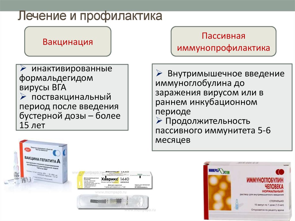 Выберите верную схему иммунизации против вгв лиц высокого риска инфицирования вгв