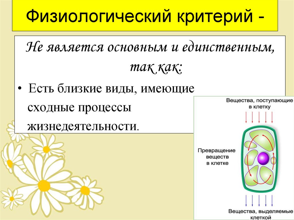 Физиологические критерии здоровья