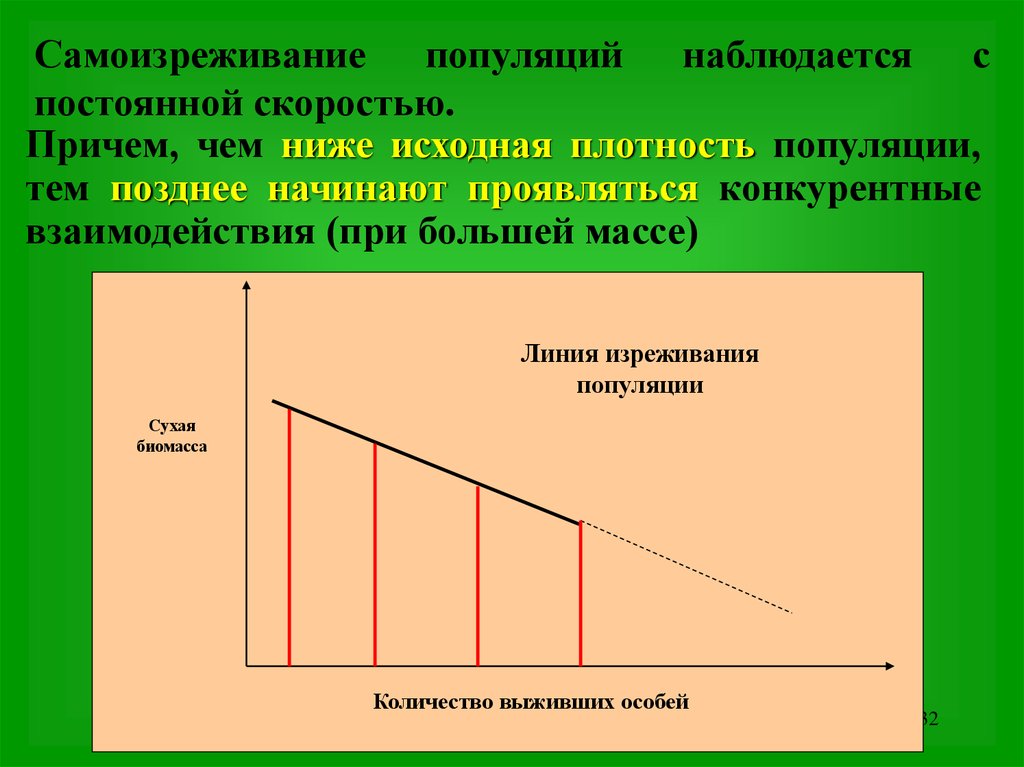 Ниже исходного. Самоизреживание популяции это. Самоизреживание растительных популяций. Самоизреживание у растений примеры. Самоизреживание у елей это пример.