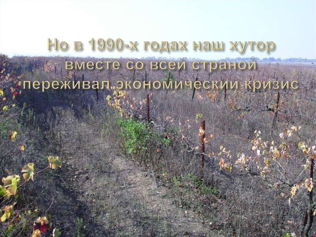 Но в 1990-х годах наш хутор вместе со всей страной переживал экономический кризис