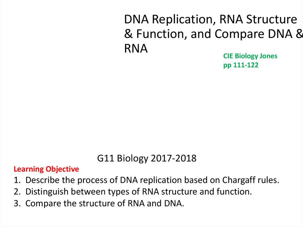 Dna Replication Rna Structure Function And Compare Dna Rna Online Presentation