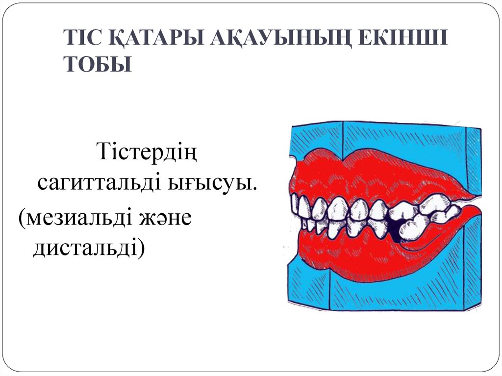 Тістем түрлері презентация