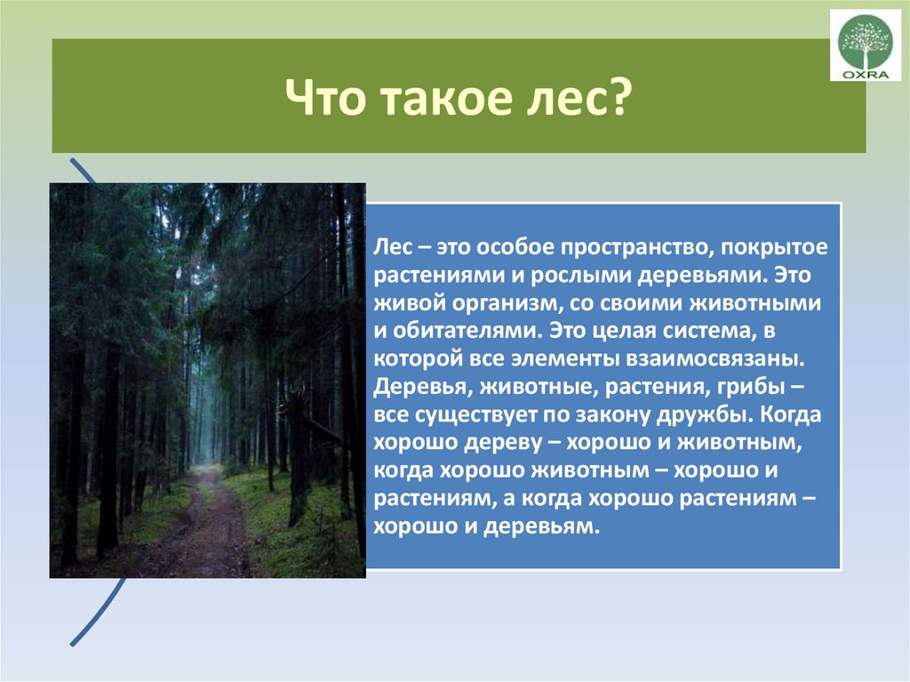 Лес определение. Лес. Что такое лес своими словами. Лес это определение. Какие леса слайды для презентации.