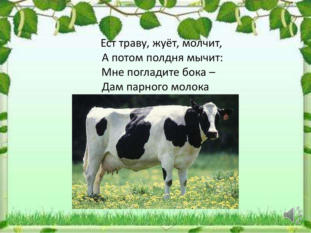 Корова доклад 3 класс окружающий. Сообщение о корове. Рассказ о корове. Доклад про корову. Повадки коровы для детей.