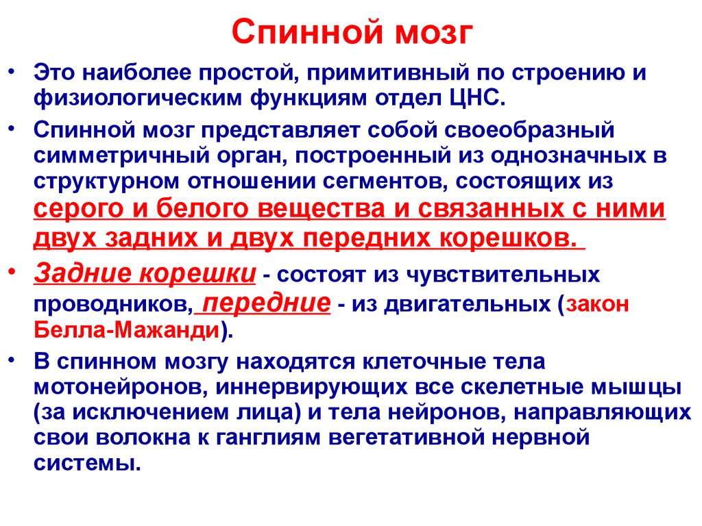 Примитивный это. Физиологические функции спинного мозга. Доминанта в мозге. Методы изучения функций спинного мозга. Конкурирующая Доминанта в мозге.