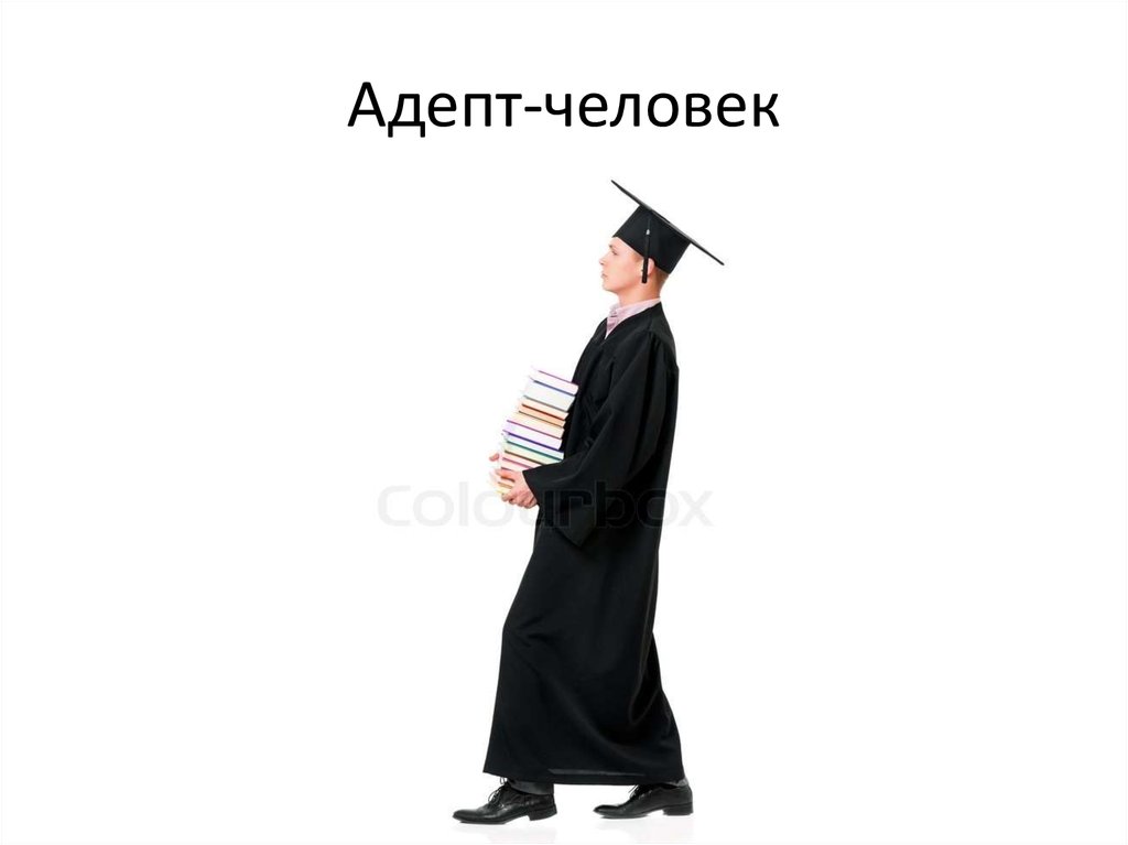Адаптант это