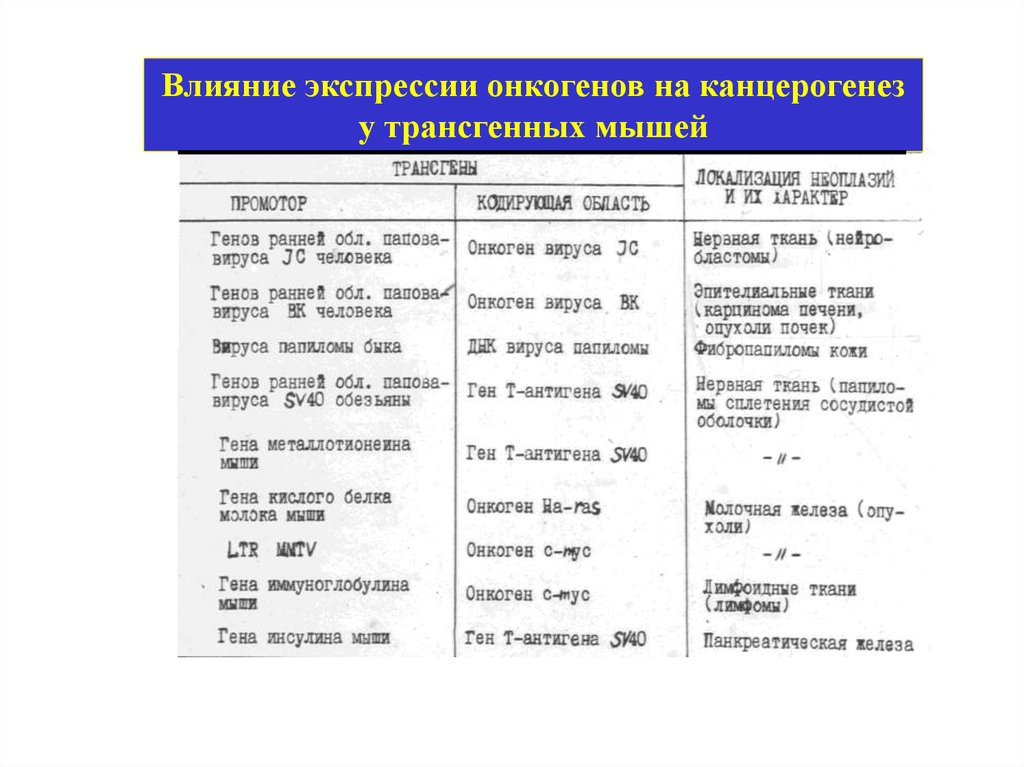 Влияет на экспрессию генов. Экспрессия онкогена. Факторы влияющие на экспрессию генов. Значение онкогенов в канцерогенезе. Кислый Гена Украина.