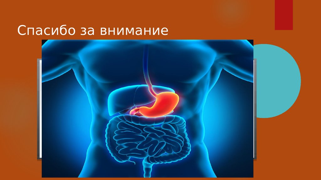 Регенерация желудка - online presentation