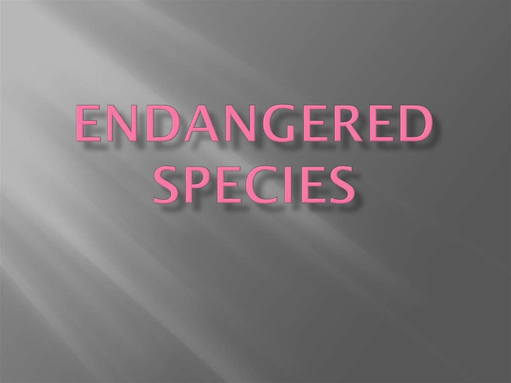 Endangered species презентация