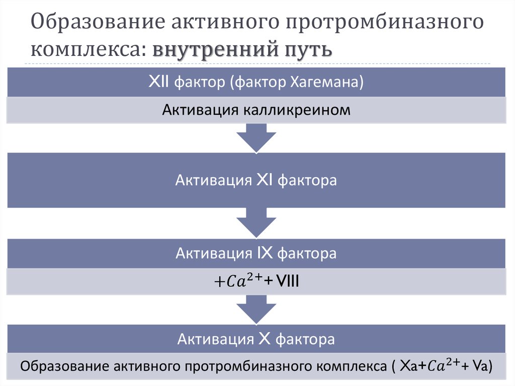 Комплекс внутренний. Образование протромбиназного комплекса. Факторы протромбиназного комплекса это:. Активный протромбиназный комплекс. Внутренний путь образования активной протромбиназы.