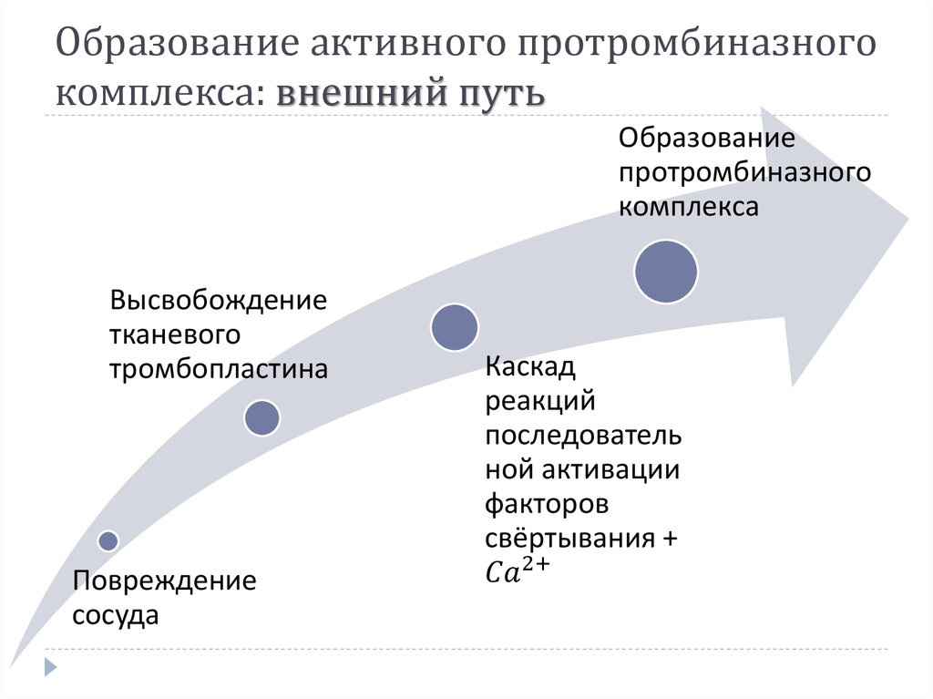 Образованные активные. Образование протромбиназного комплекса. Образование протромбиназного комплекса внешний. Пути образования протромбиназного комплекса схема. Внешний и внутренний пути образования протромбиназного комплекса.