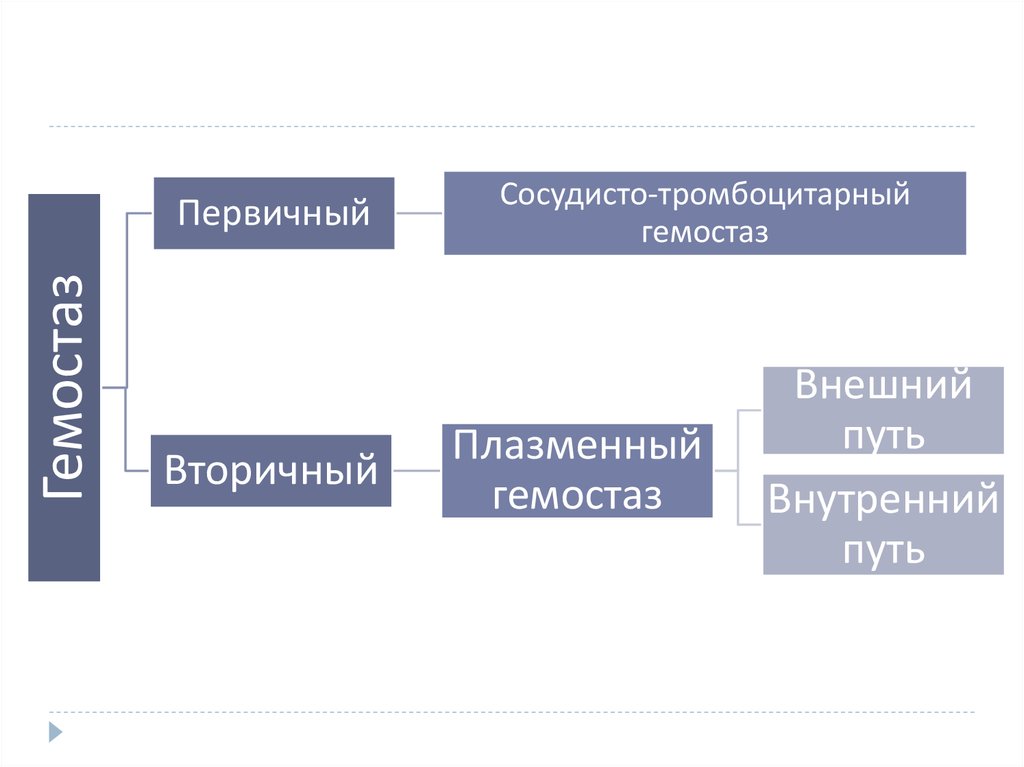 Первичный гемостаз схема