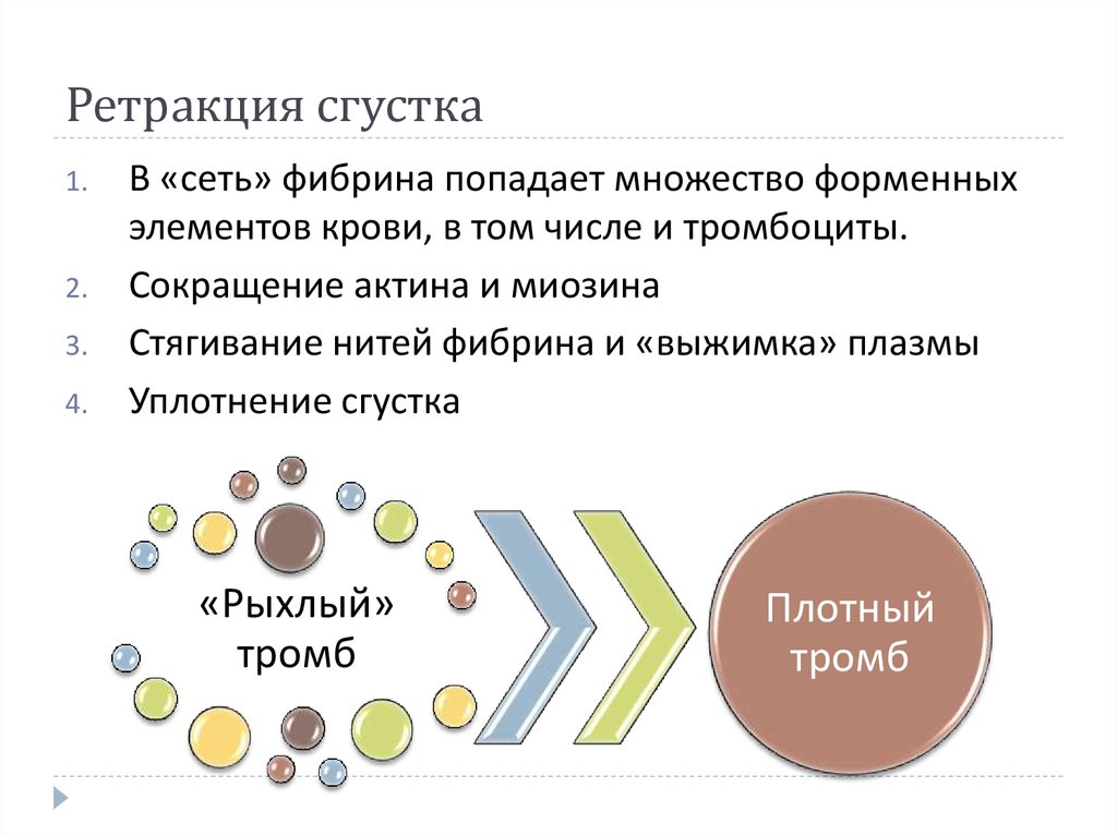 Ретракция сгустка