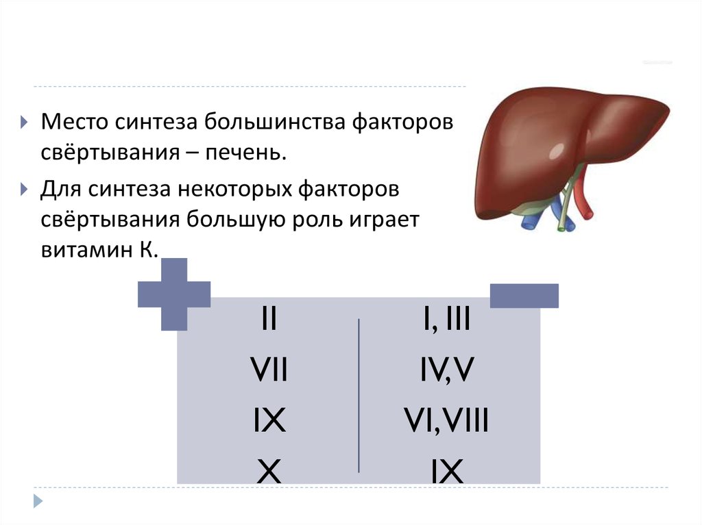 Печень синтез. Факторы свертывания синтезируемые в печени. Витамин к зависимые факторы свертывания. Факторы свертывания крови в печени. Витамин к Синтез факторов свертывания.