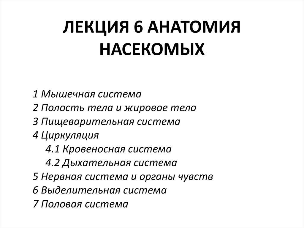 Лекции по анатомии