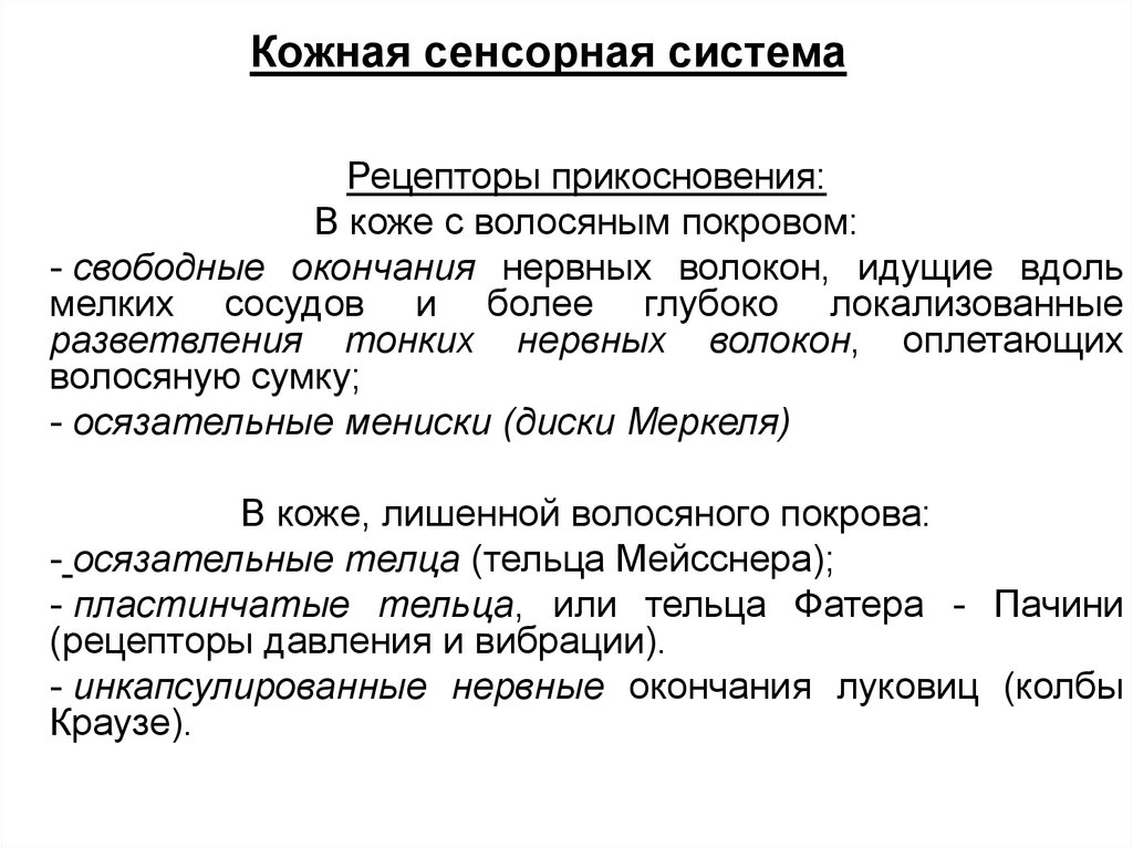 Кожная сенсорная система. Кожная сенсорная система тактильная и температурная. Кожная сенсорная система рецепторы. Свойства сенсорных систем.