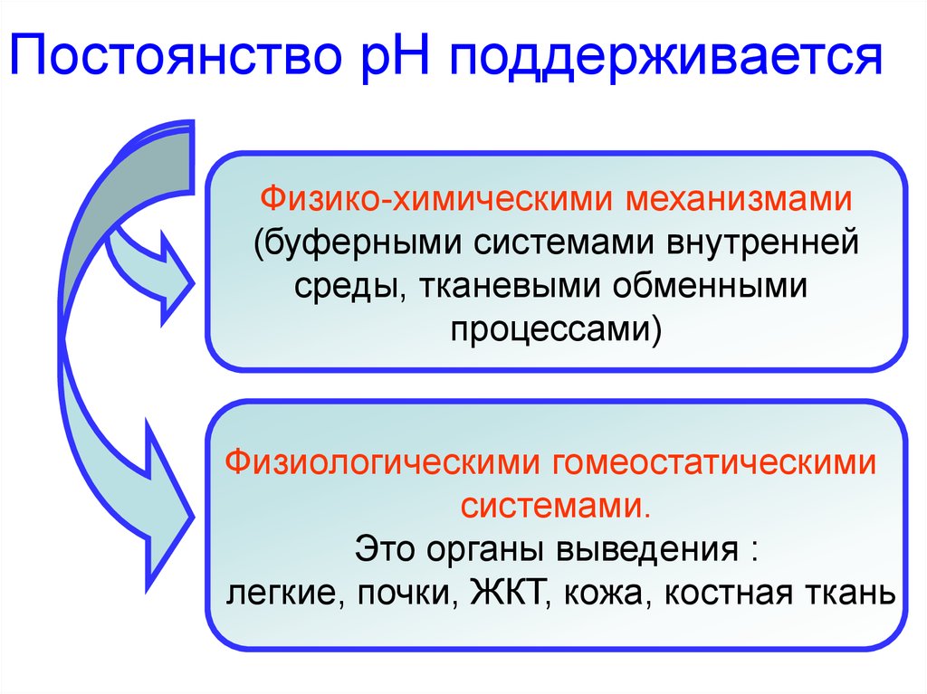 Поддерживается. Поддержание постоянства РН крови. Регуляция постоянства PH крови. Постоянство РН крови поддерживается. Механизмы саморегуляции постоянства PH крови.