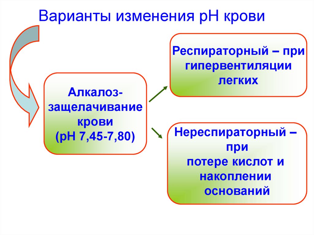 Изменения р. Характеристика крови как части внутренней среды организма. Кислоты и основания внутренней среды организма. Варианты изменений. Варианты нереспираторного алкалоза.