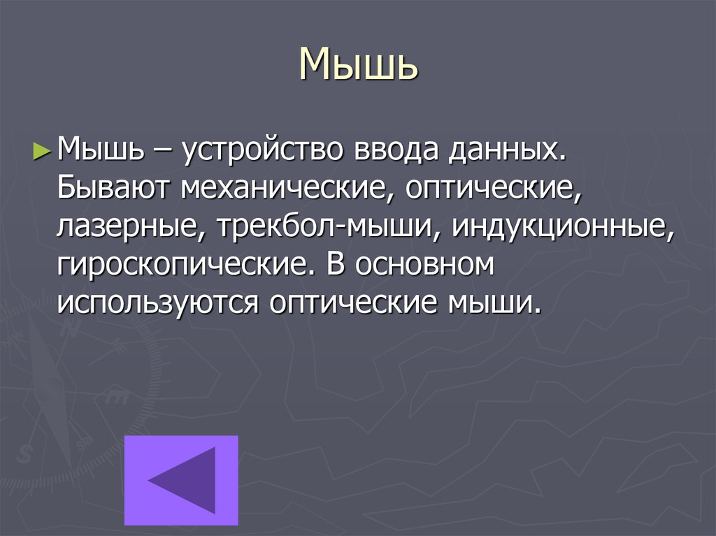 Мышь