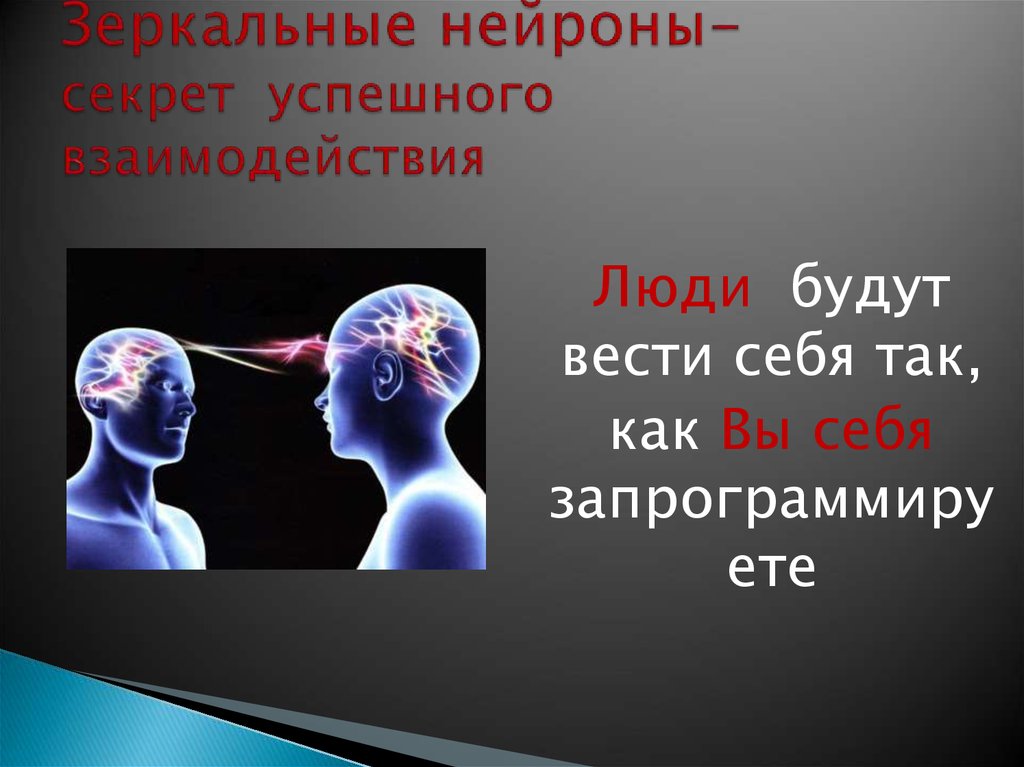 Зеркальные нейроны- секрет успешного взаимодействия