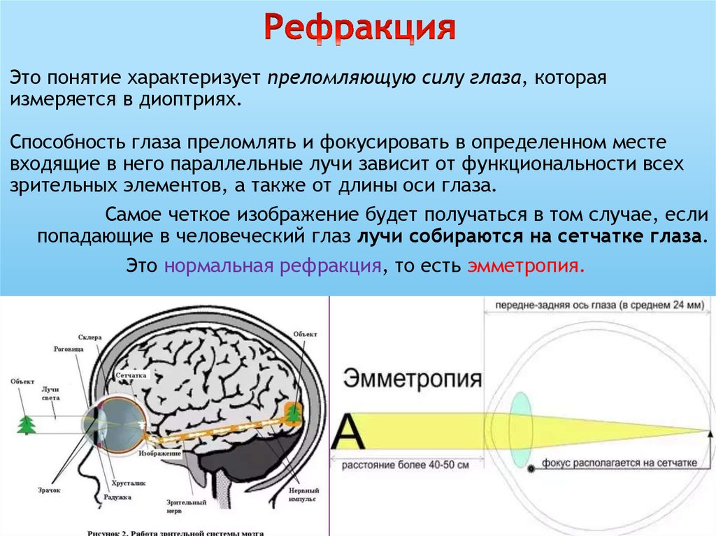 Исследование аккомодации зрения проект